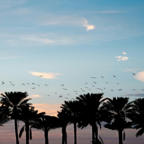 Sanford, Florida