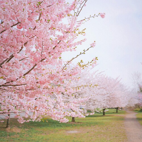 Newark, New Jersey
