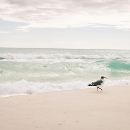 Destin, Florida