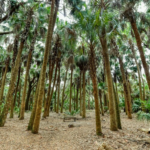 Sanford, Florida