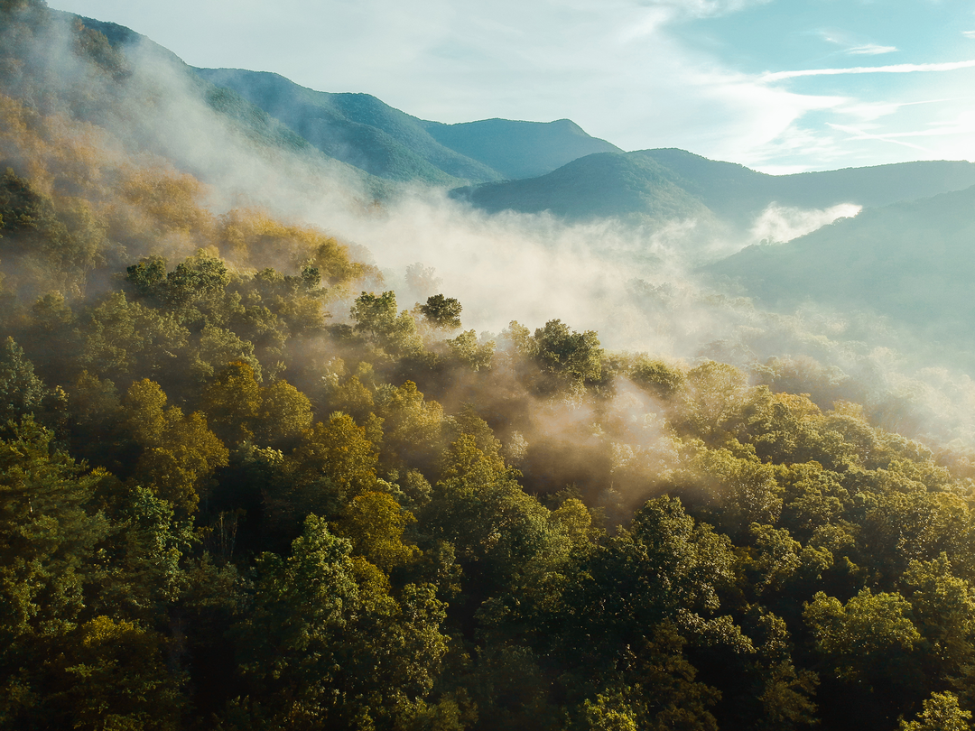 Foggy Mountain view
